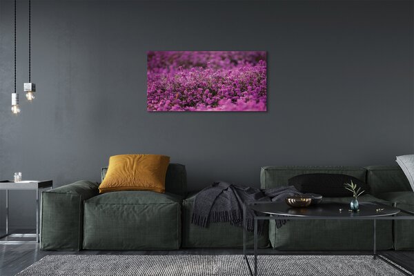 Quadro su tela Campo heather 100x50 cm