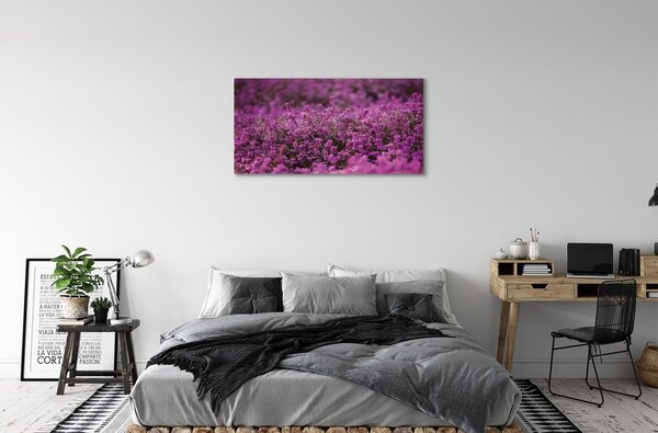 Quadro su tela Campo heather 100x50 cm