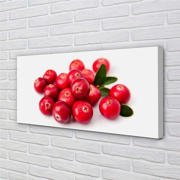 Quadro su tela Avocado 100x50 cm