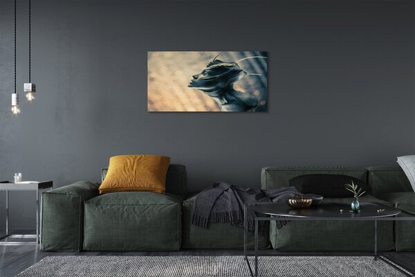 Quadro su tela Carattere 100x50 cm