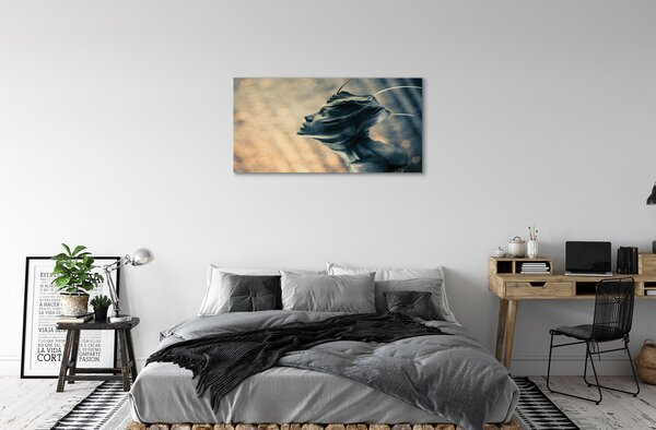 Quadro su tela Carattere 100x50 cm