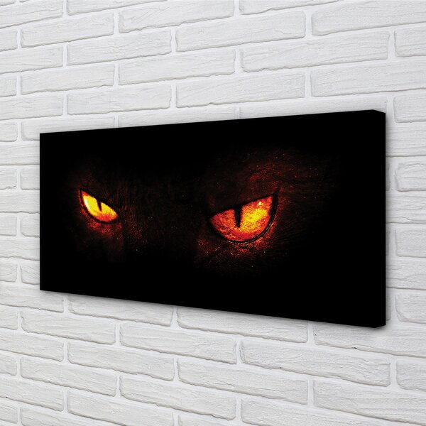 Quadro su tela Occhi luccicanti 100x50 cm