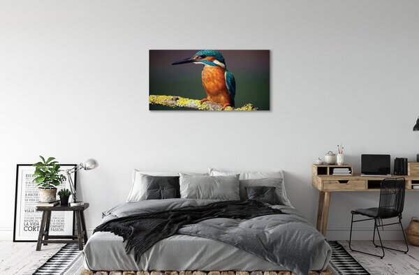 Quadro su tela Uccello colorato su un ramo 100x50 cm