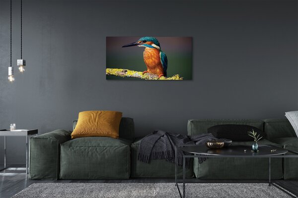 Quadro su tela Uccello colorato su un ramo 100x50 cm