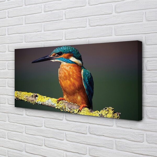 Quadro su tela Uccello colorato su un ramo 100x50 cm