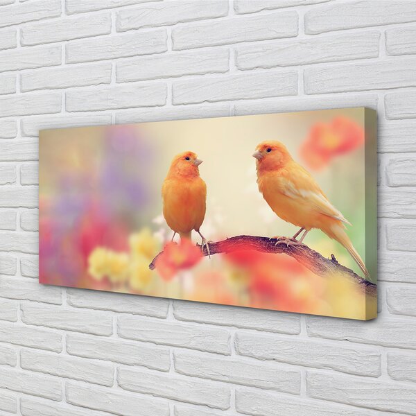 Foto quadro su tela Pappagalli colorati 100x50 cm