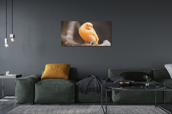 Quadro su tela Pappagallo 100x50 cm