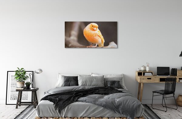 Quadro su tela Pappagallo 100x50 cm