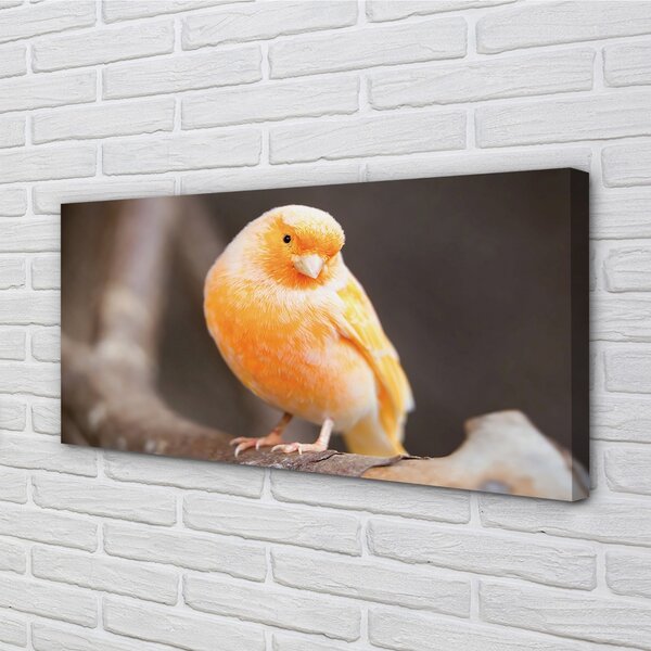 Quadro su tela Pappagallo 100x50 cm