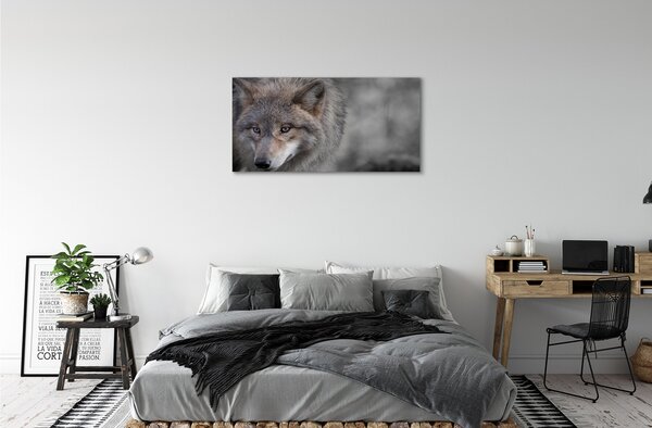 Quadro su tela Lupo 100x50 cm