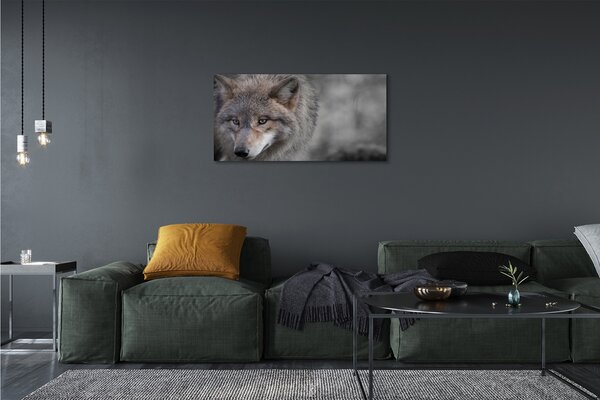 Quadro su tela Lupo 100x50 cm