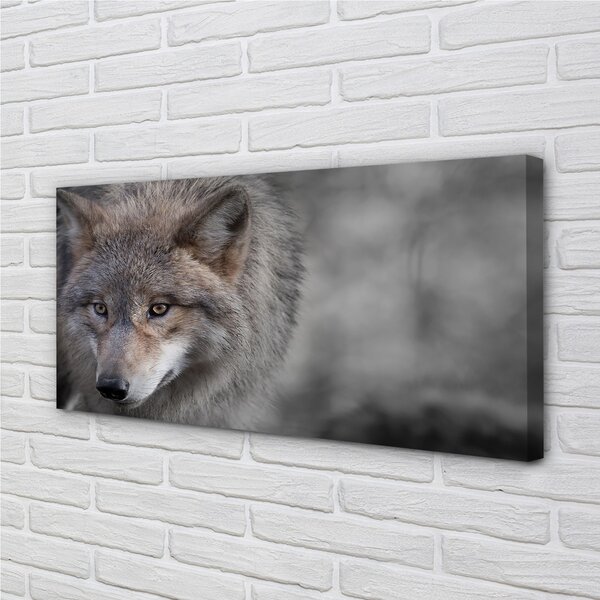 Quadro su tela Lupo 100x50 cm