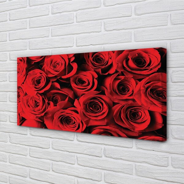 Quadro su tela Rose 100x50 cm