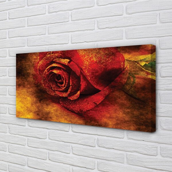 Stampa quadro su tela Immagine di rosa 100x50 cm