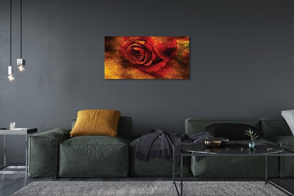 Stampa quadro su tela Immagine di rosa 100x50 cm