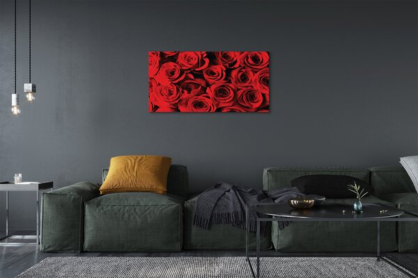Quadro su tela Rose 100x50 cm