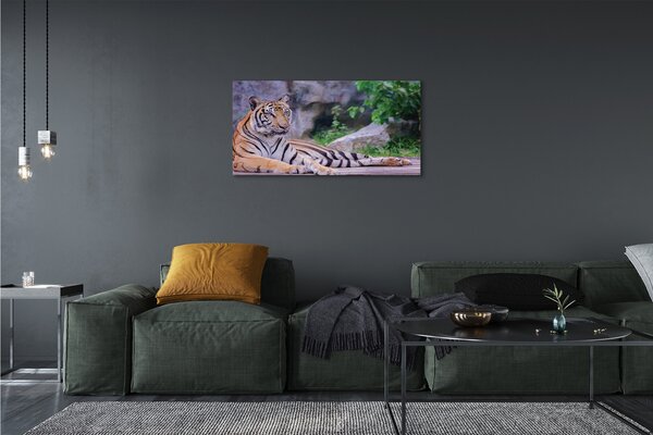 Quadro su tela Tigre nello zoo 100x50 cm