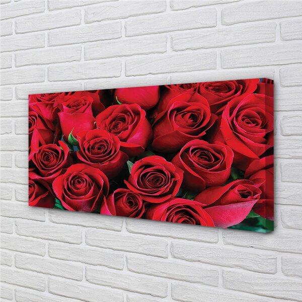 Stampa quadro su tela Rose 100x50 cm