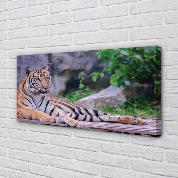 Quadro su tela Tigre nello zoo 100x50 cm