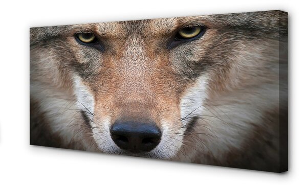 Quadro su tela Eyes Wolf 100x50 cm