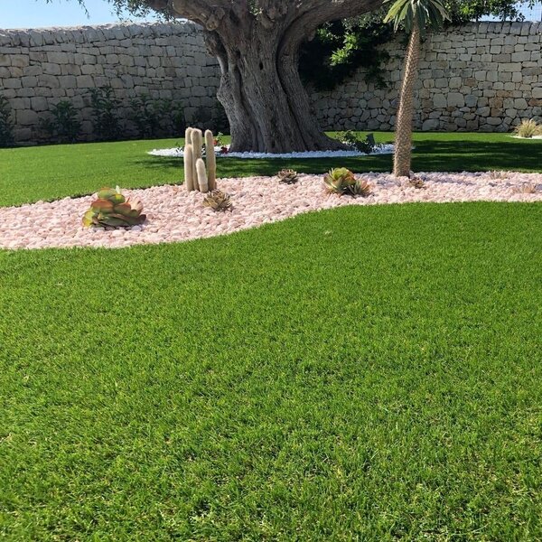 Divina Garden Prato sintetico tappeto erba finto artificiale 25 mm 1x25 mt - EG84822