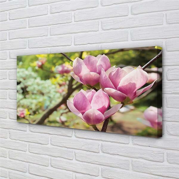 Quadro su tela Alberi magnolia 100x50 cm