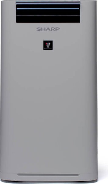 Sharp Purificatore d'aria Ionizzatore Capacit 2.5 Lt Capacit di umidificazione 440 ml/h colore Grigio - UA-HG40E-L