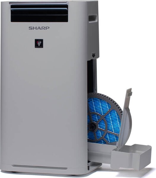 Sharp Purificatore d'aria Ionizzatore Capacit 2.5 Lt Capacit di umidificazione 440 ml/h colore Grigio - UA-HG40E-L