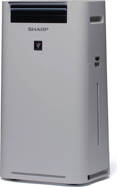 Sharp Purificatore d'aria Ionizzatore Capacit 2.5 Lt Capacit di umidificazione 440 ml/h colore Grigio - UA-HG40E-L