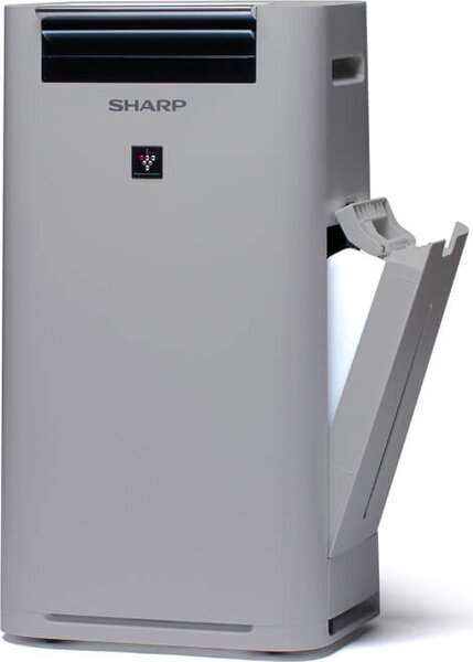 Sharp Purificatore d'aria Ionizzatore Capacit 2.5 Lt Capacit di umidificazione 440 ml/h colore Grigio - UA-HG40E-L