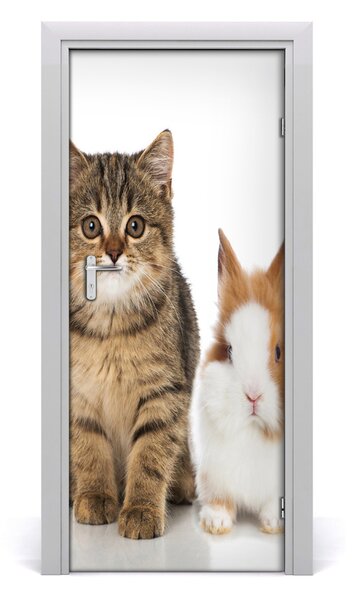 Adesivo per porta Animali domestici 75x205 cm