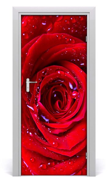 Poster adesivo per porta rosa rossa 75x205 cm