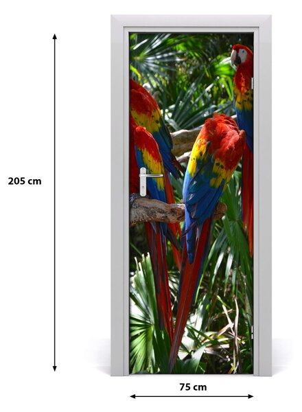 Sticker porta Pappagalli ary 75x205 cm