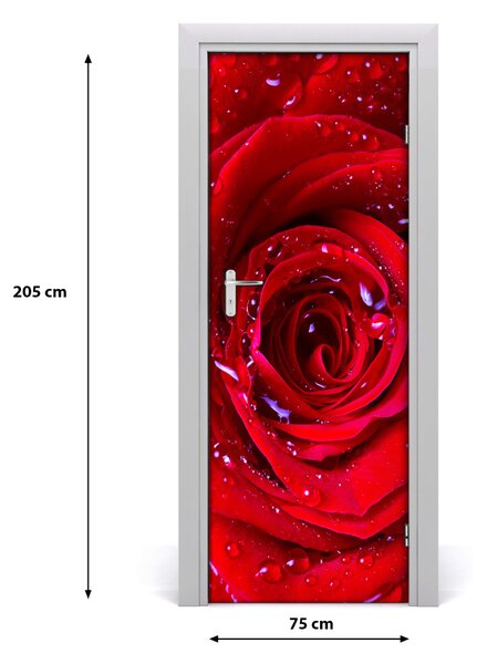 Poster adesivo per porta rosa rossa 75x205 cm