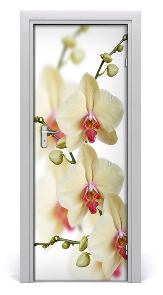 Adesivo per porta Orchidea 75x205 cm