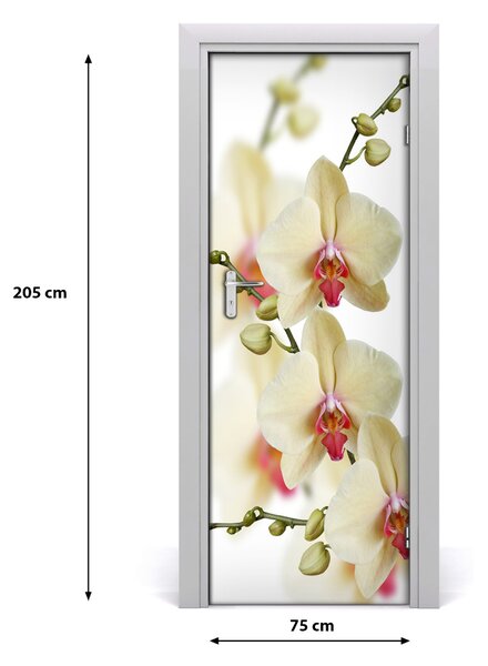 Adesivo per porta Orchidea 75x205 cm