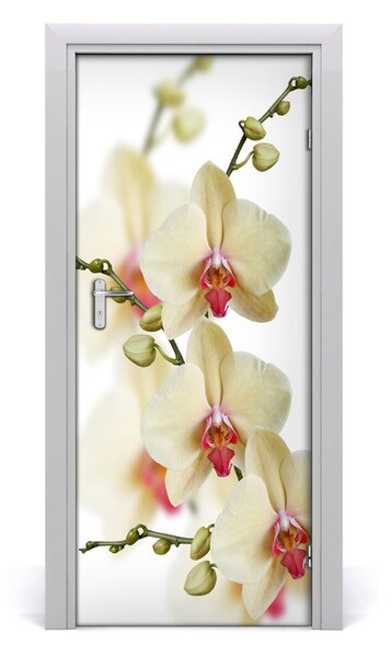 Adesivo per porta Orchidea 75x205 cm