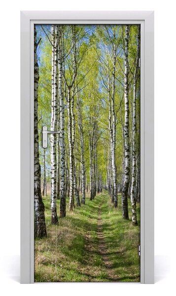 Poster adesivo per porta Foresta di betulla 75x205 cm