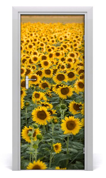 Poster adesivo per porta Campo di girasole 75x205 cm