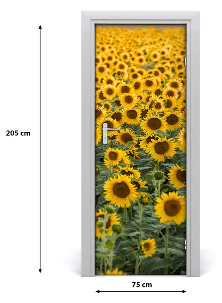 Poster adesivo per porta Campo di girasole 75x205 cm
