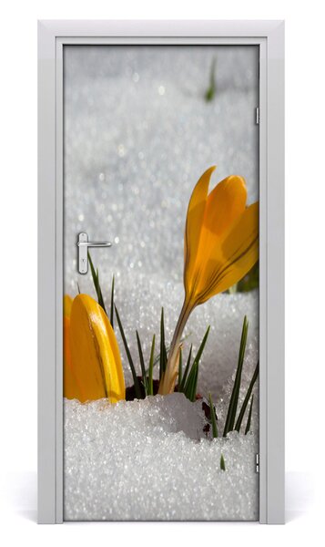 Adesivo per porta interna Crocus gialli 75x205 cm