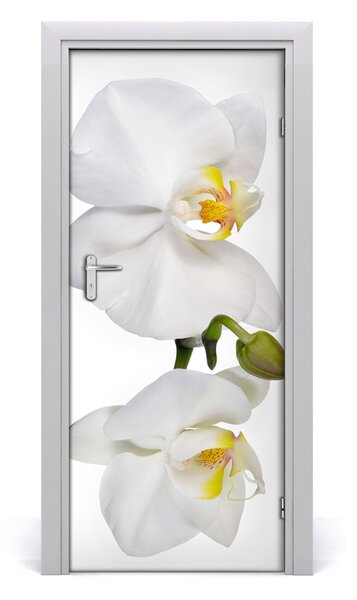Poster adesivo per porta Orchidea bianca 75x205 cm