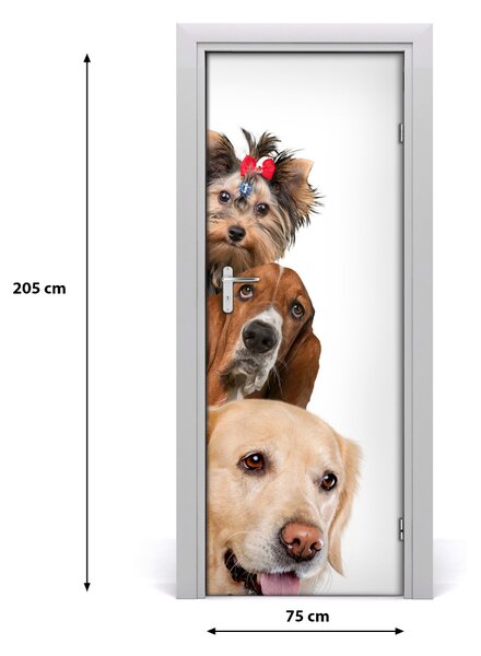 Adesivo per porta interna Cani e gatti 75x205 cm