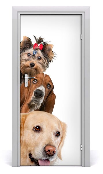 Adesivo per porta interna Cani e gatti 75x205 cm