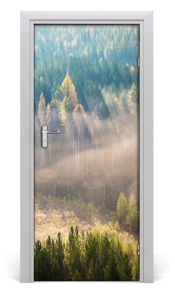 Adesivo per porta Nebbia sulla foresta 75x205 cm