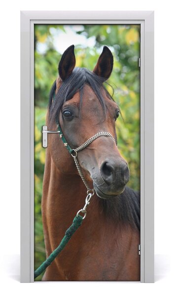 Adesivo per porta interna Ritratto di un cavallo 75x205 cm