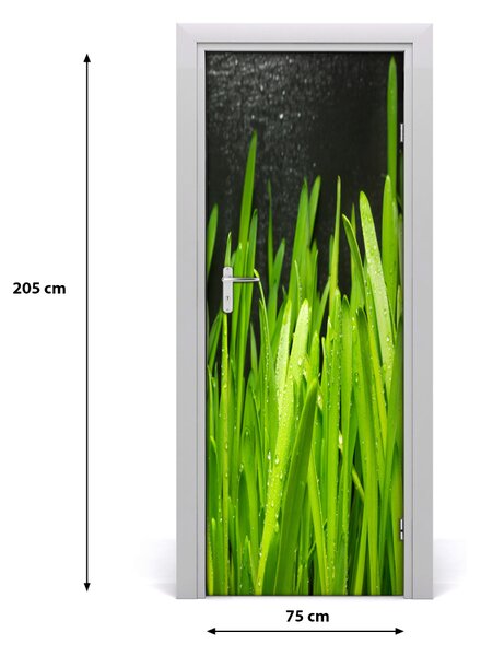 Adesivo per porta interna Lama d'erba 75x205 cm