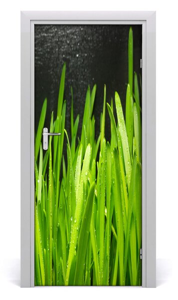 Adesivo per porta interna Lama d'erba 75x205 cm