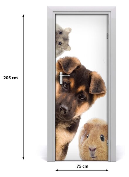 Poster adesivo per porta Animali domestici 75x205 cm