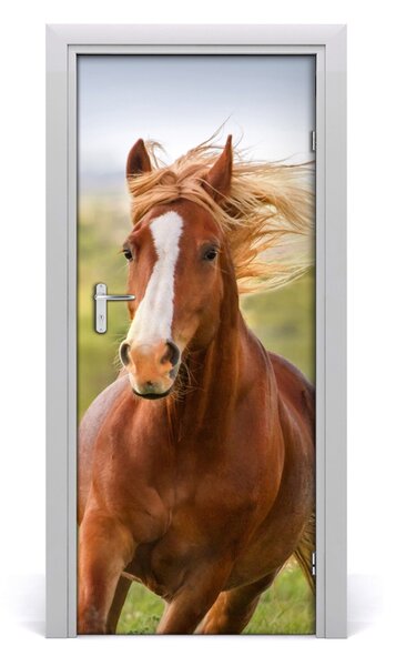 Adesivo per porta interna Cavallo su galoppo 75x205 cm